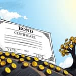 The Zero-Coupon Advantage: Growth Without Intermediate Payments